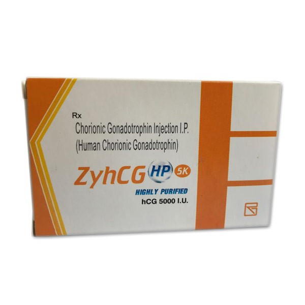 zyhcg-5000_1 zyhcg-5000_1